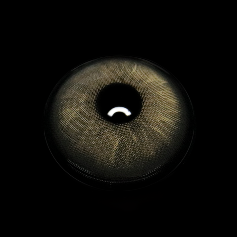 Efigenia Brown Coloured Contact Lenses